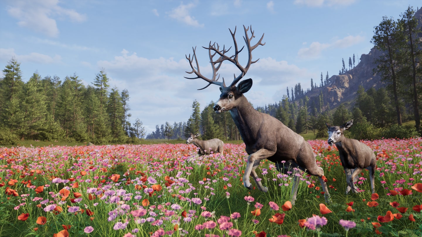 WAY OF THE HUNTER 2