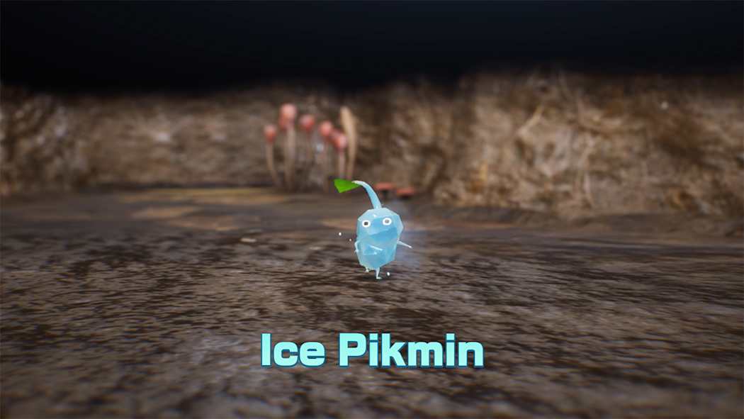 PIKMIN 4 + DANDORI ACADEMY