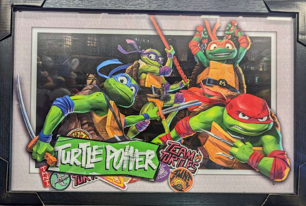 Art - TMNT Turtle Power Faux Matte