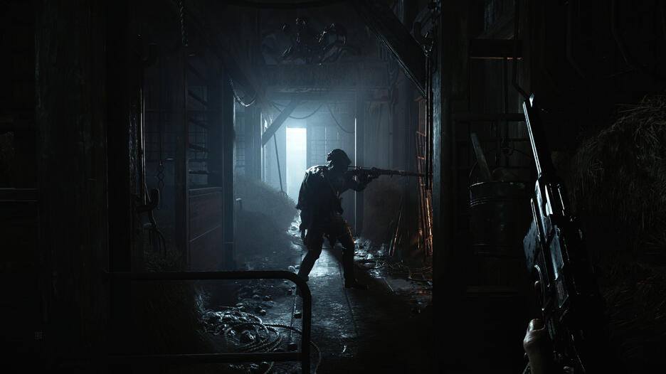 Hunt Showdown Limited Bounty Hunter Edition