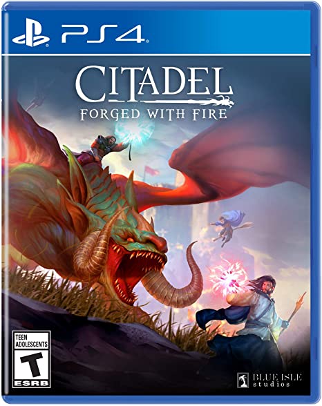 Citadel: Forged with Fire ( Pre-Owned )