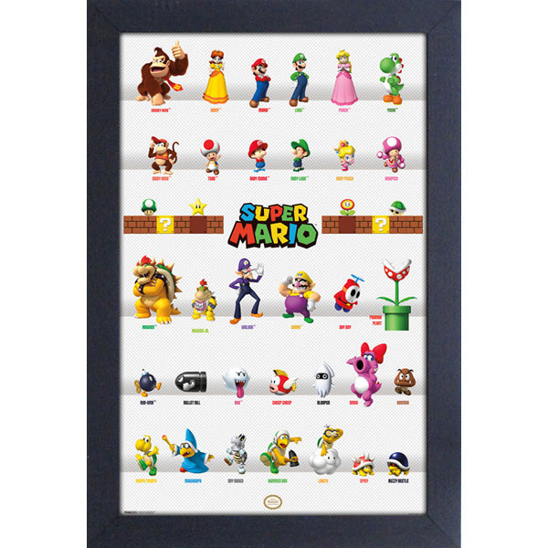 SUPER MARIO CHARACTER ROSTER FRAMED