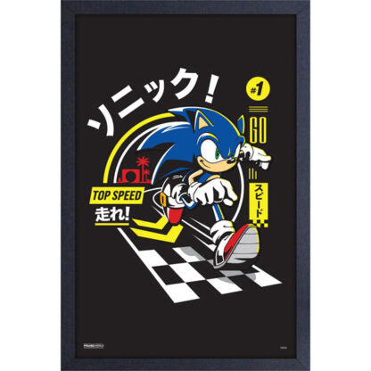 Sonic Top Speed Framed