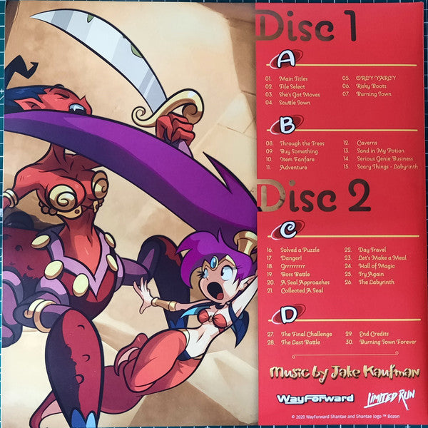 Vinyl - Shantae: Risky's Revenge Directors Cut OST