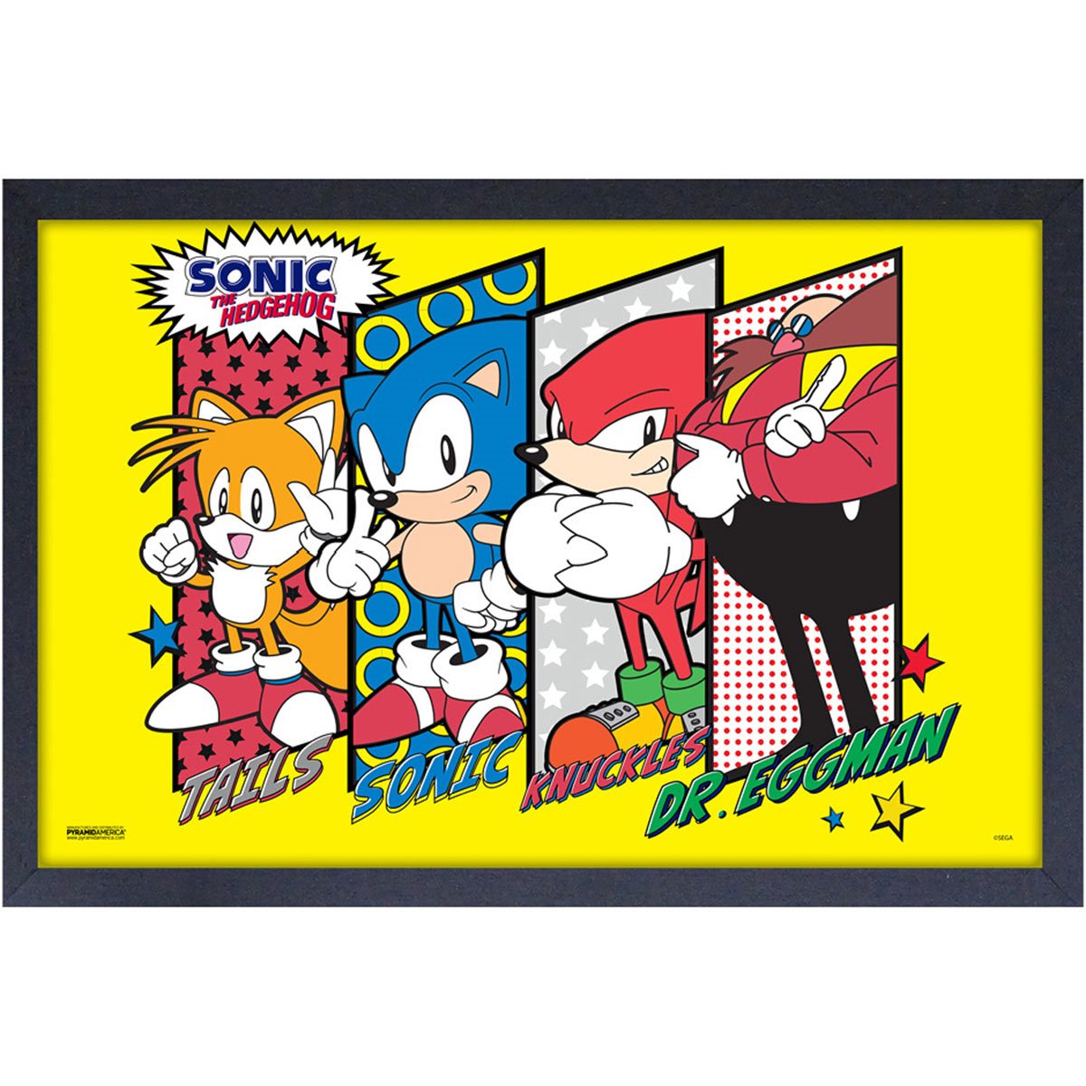 Sonic Character Lineup Framed