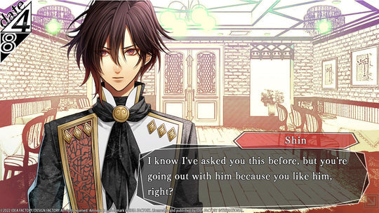 AMNESIA MEMORIES